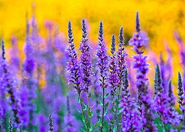 网友自制《沙丘》风格《质量效应》海报 有那味了